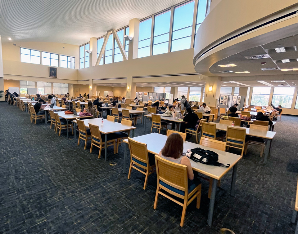 Ella wood library chair in community college